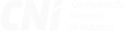 ícon